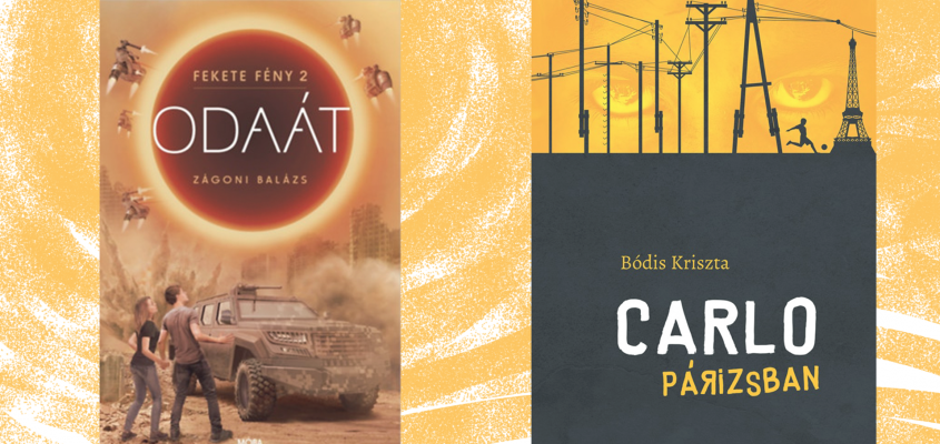 Nyulasz Peter Kolozsvar Konyvfalok-05