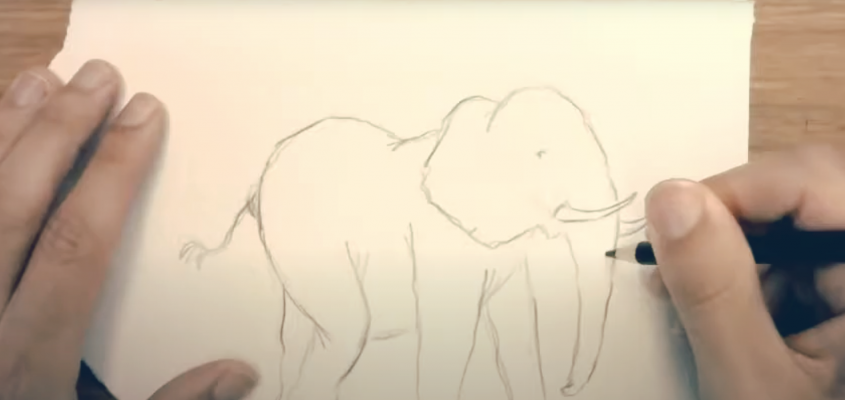 peter carnavas elefant-04