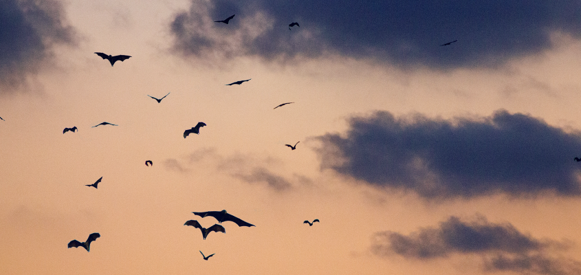 Limpár Ildikó Kerchy halottakkal táncolók-01