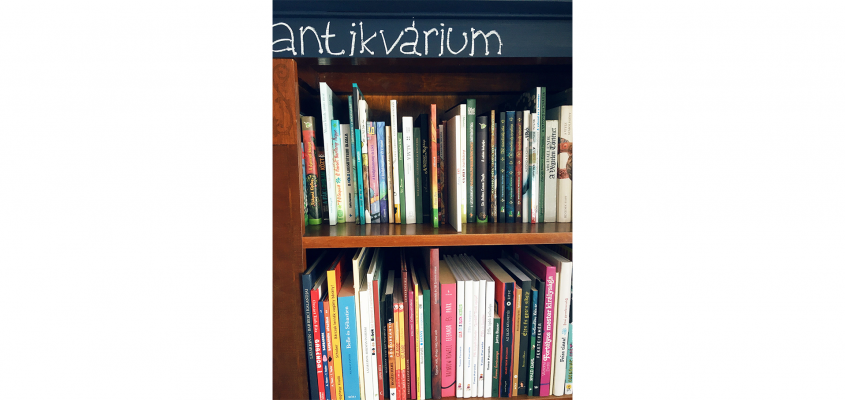 Parti Judit Roka ur es kompania-05