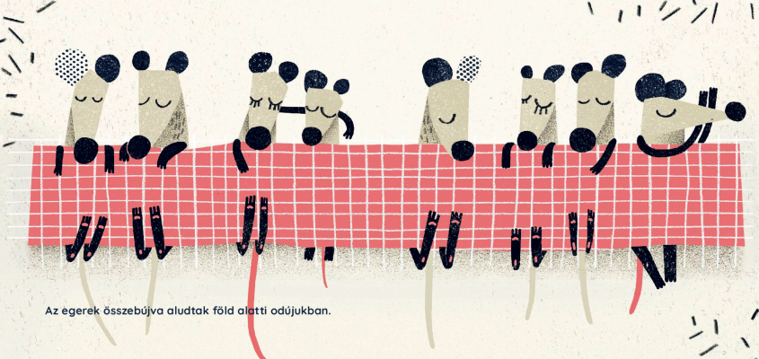 Csörgei Andrea Joanna Gębal  Monika Zborowska Nézz fel az égre Csirimojó-01