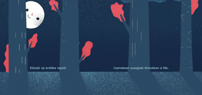 Csörgei Andrea Joanna Gębal  Monika Zborowska Nézz fel az égre Csirimojó-02