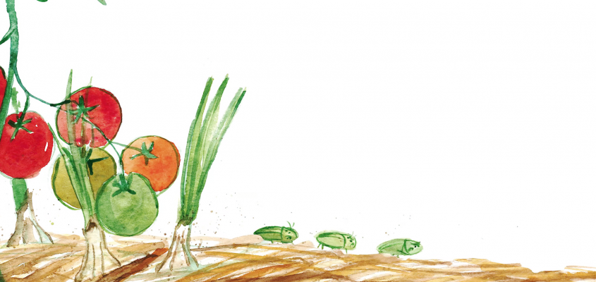 Agócs Írisz Márkó bácsi kertje-04