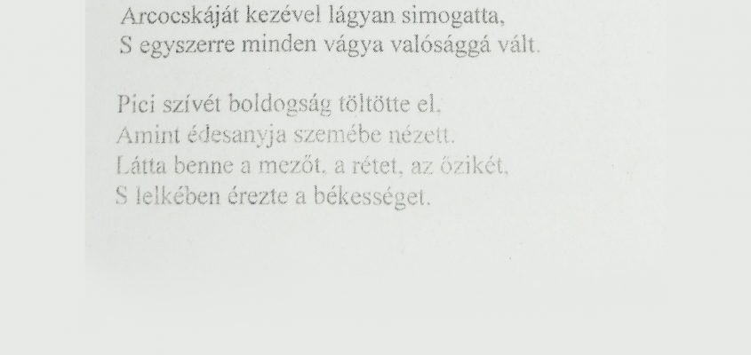 Debreceni Művelődési Központ és Ifjúsági Ház Petőfi Sándor születésének 200. évfordulója díjazott versek-03