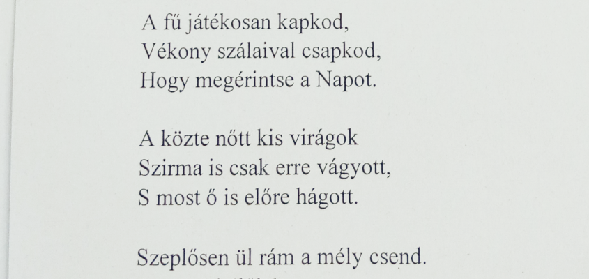 Debreceni Művelődési Központ és Ifjúsági Ház Petőfi Sándor születésének 200. évfordulója díjazott versek-04