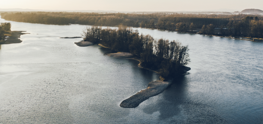 Majoros Nóra Néma táltos-03