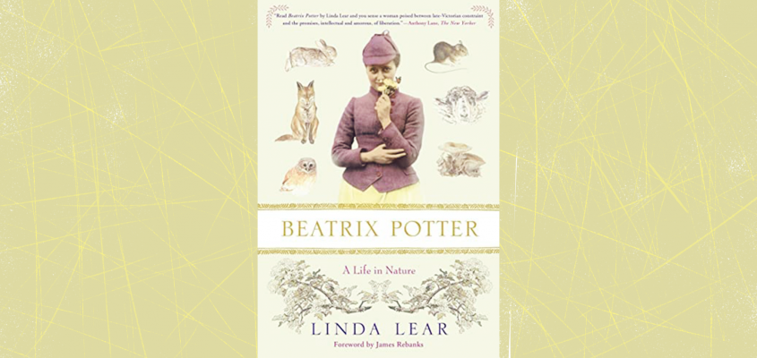 beatrix potter-11