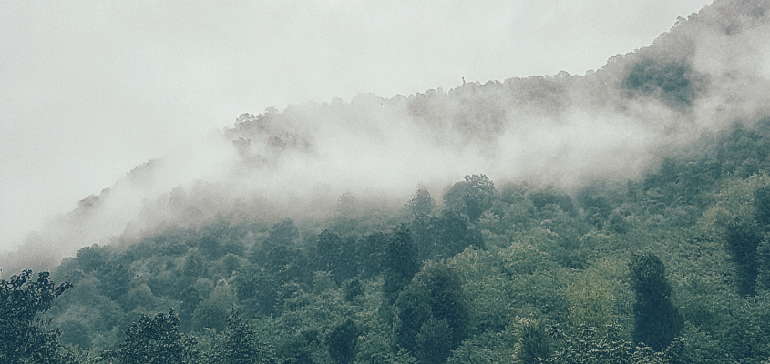 Miklya Luzsányi Mónika  Étienne könyve Kovács Gergely-01