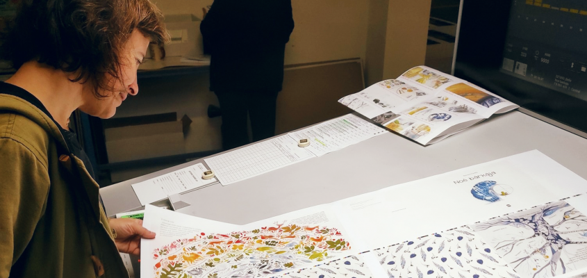 Simonyi Cecilia Noe bárkája-07