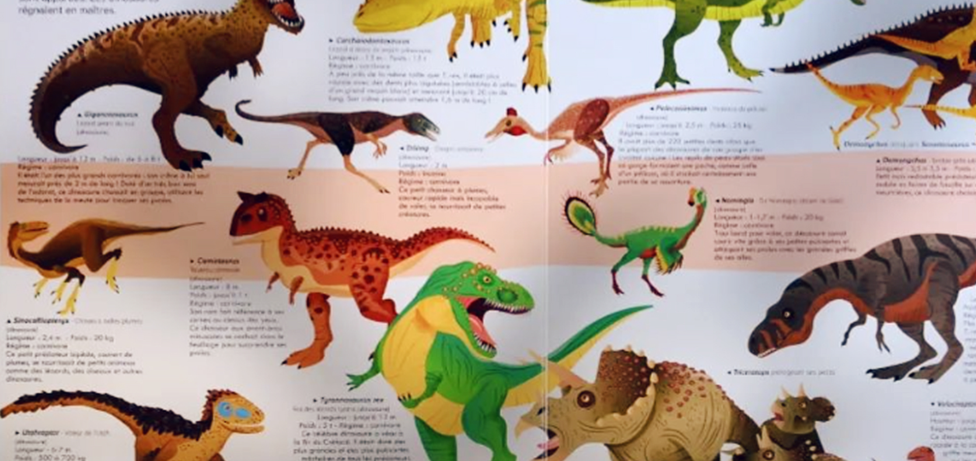 Valentina Belloni Bolygónk urai, a dinoszauruszok-01