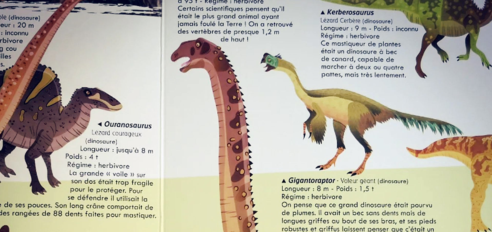 Valentina Belloni Bolygónk urai, a dinoszauruszok-03