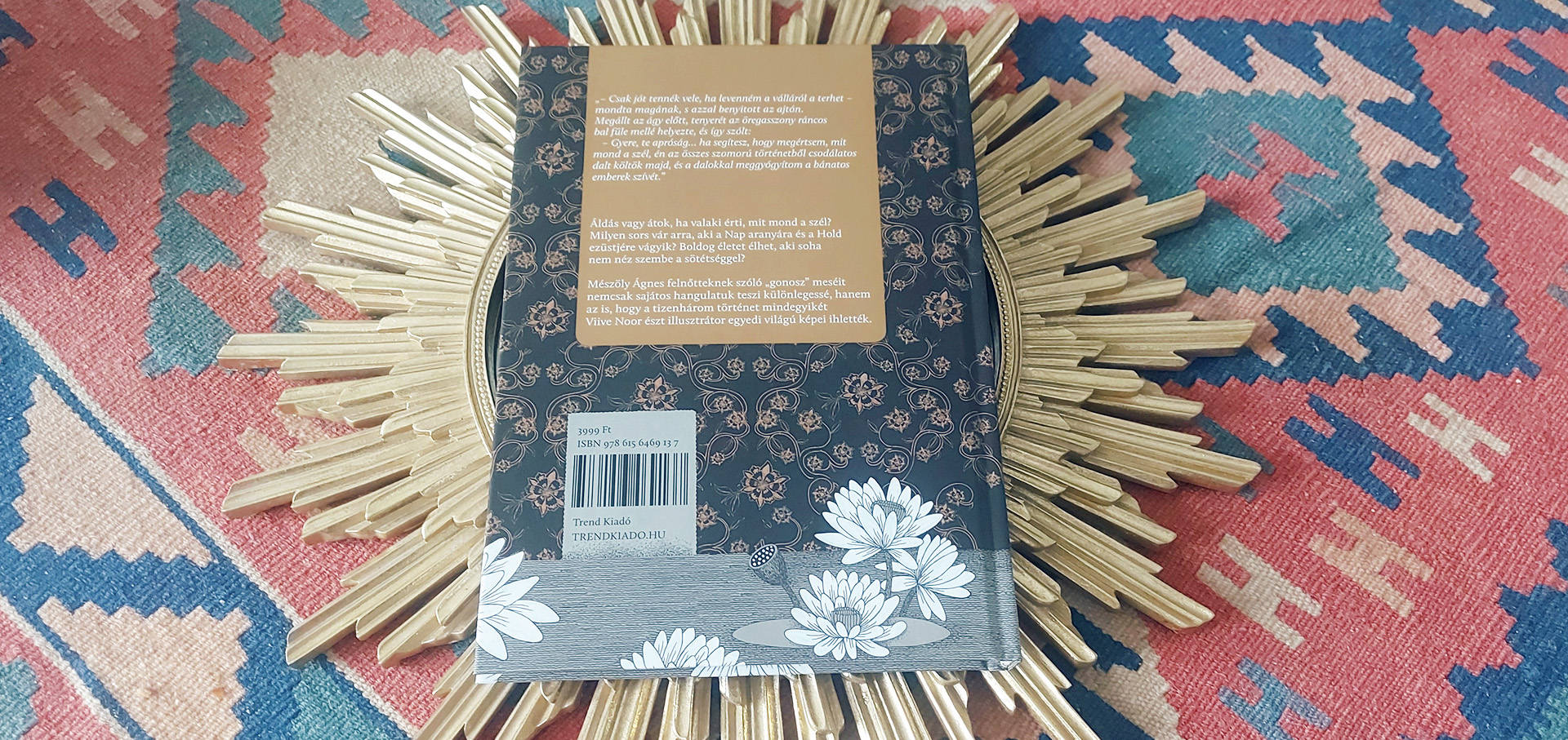 Meszoly Agnes POOS-02