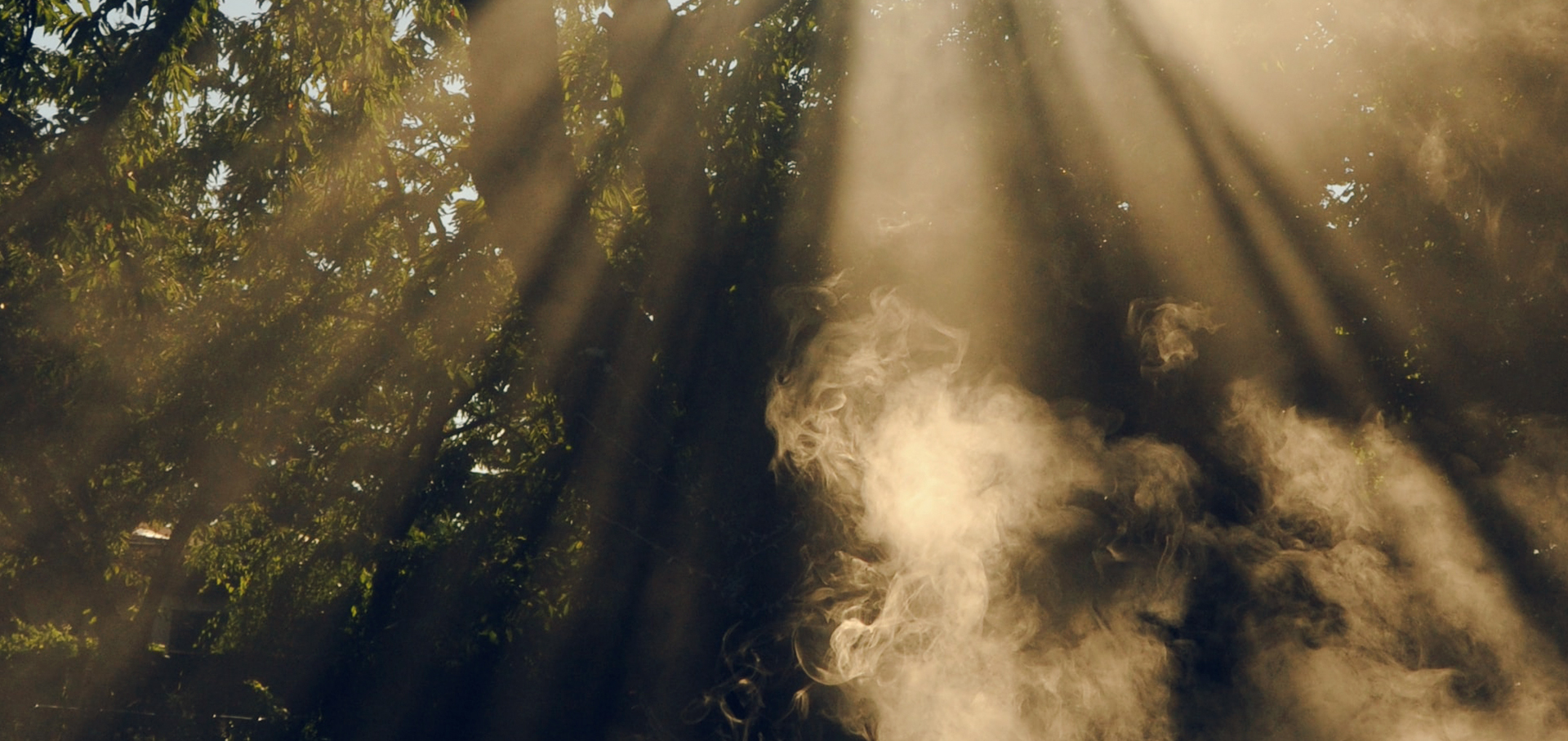 Marisha Rasi-Koskinen: A Nap sötét oldala Pataki Mónika Lilla-01