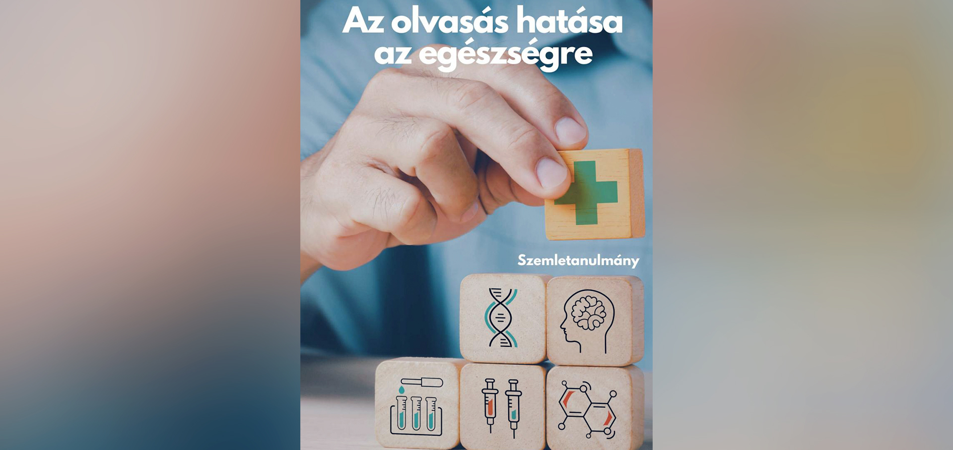 kiss otto eg bolt-01