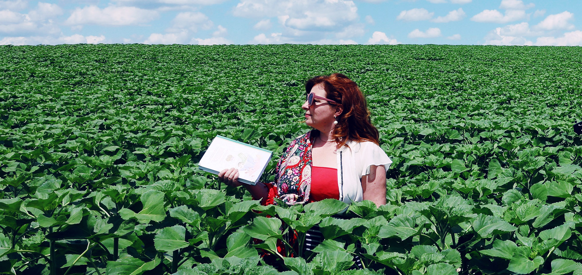 Olvasosarok nyar 24 2-05