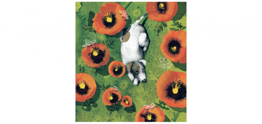 Nagy Norbert Geszthelyi Hermina-01