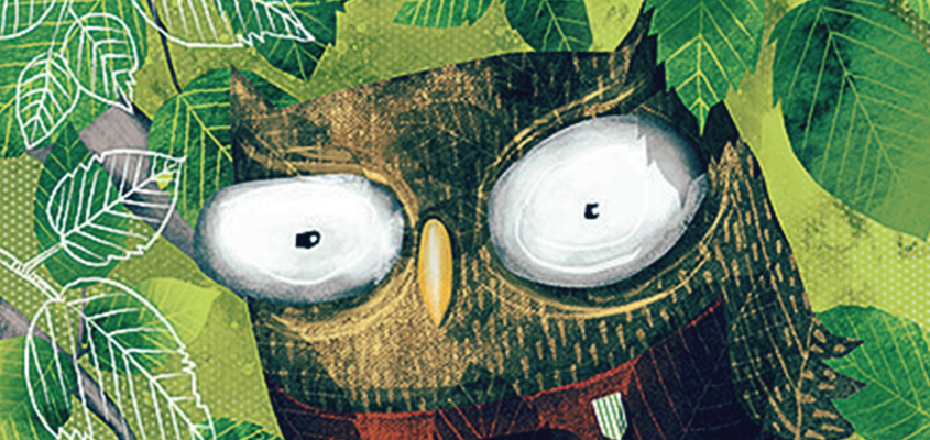 Vagánybagoly Bán Zsófia-03