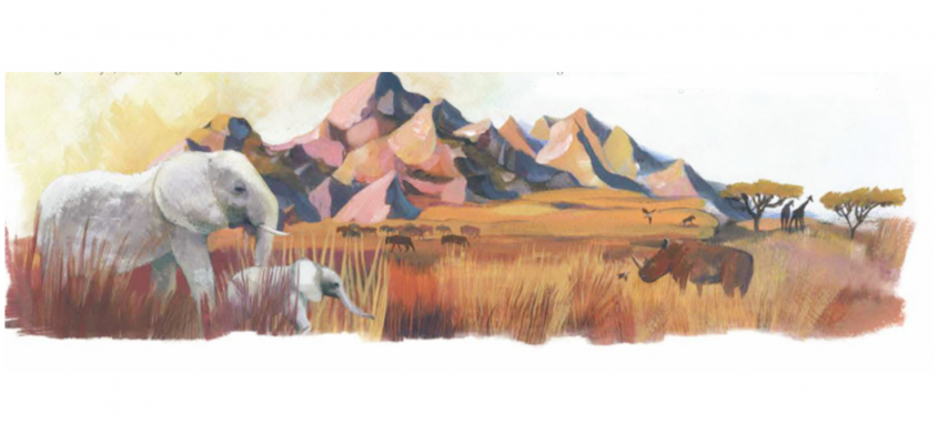 Majoros Nóra: Az orrszarvú és a madarak-02