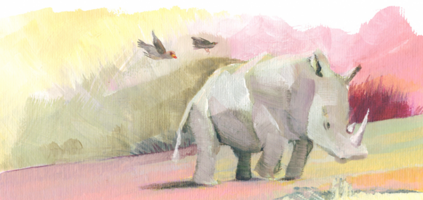 Majoros Nóra: Az orrszarvú és a madarak-03